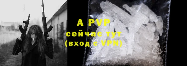 гашик Нефтекумск