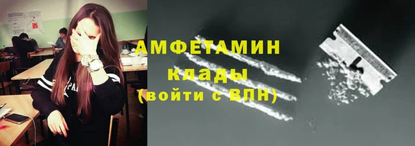 шишки Нея