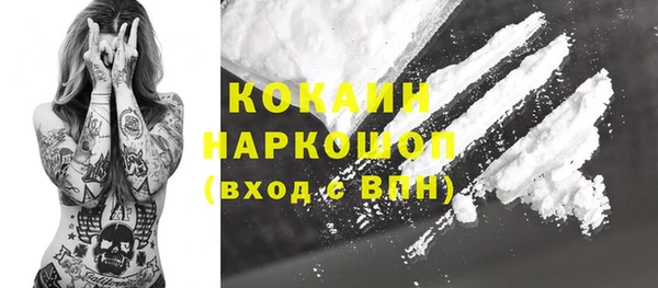 гашик Нефтекумск